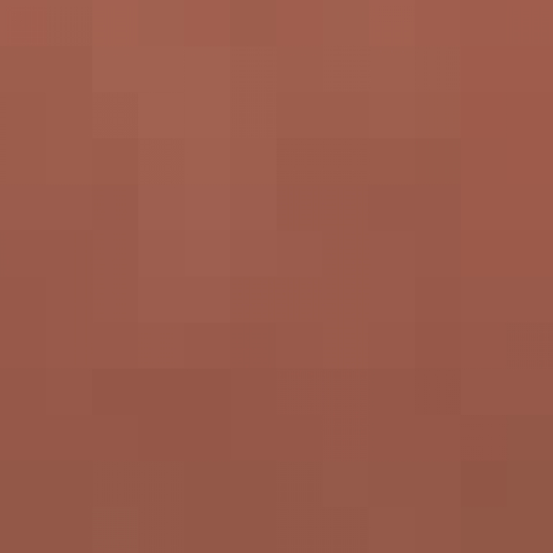 Liz  Kooy - Monat Market Partner