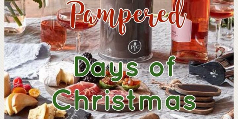 12 Days of Christmas Holiday Shopping