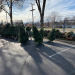 Christmas Tree Lot, 2021