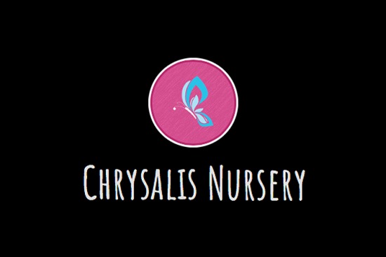CHRYSALIS 2018