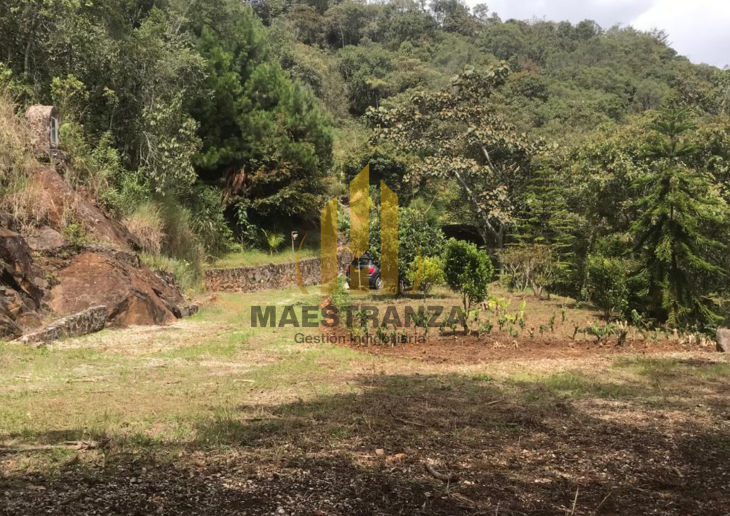 Lote En Venta - Rionegro-Vía Santa Elena, Rionegro