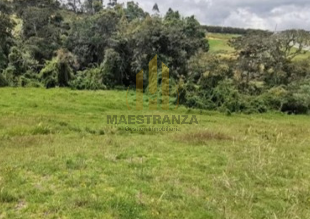 Lote En Venta - Alto De Las Palmas, Envigado