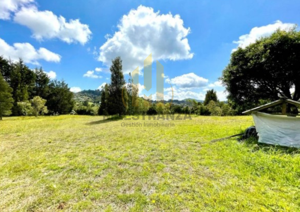 Lote En Venta - Alto De Las Palmas, Medellín