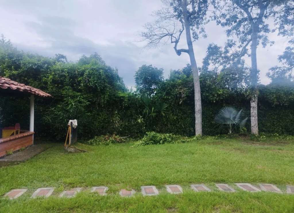 Venta Finca imagen 16