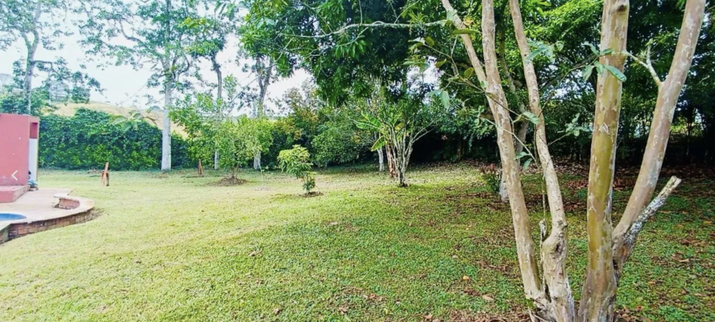 Venta Finca imagen 18