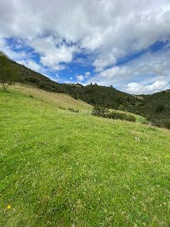 Venta Lote imagen 12