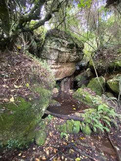 Venta Lote imagen 16