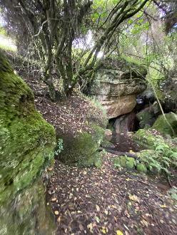 Venta Lote imagen 17