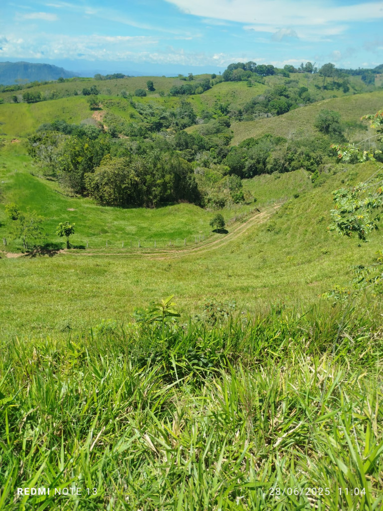 Venta Finca fresno imagen 10