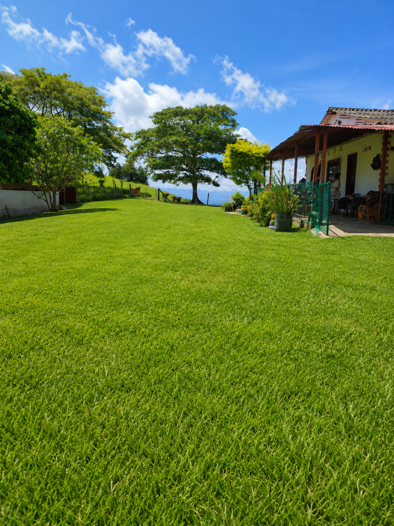 Venta Finca fresno imagen 4