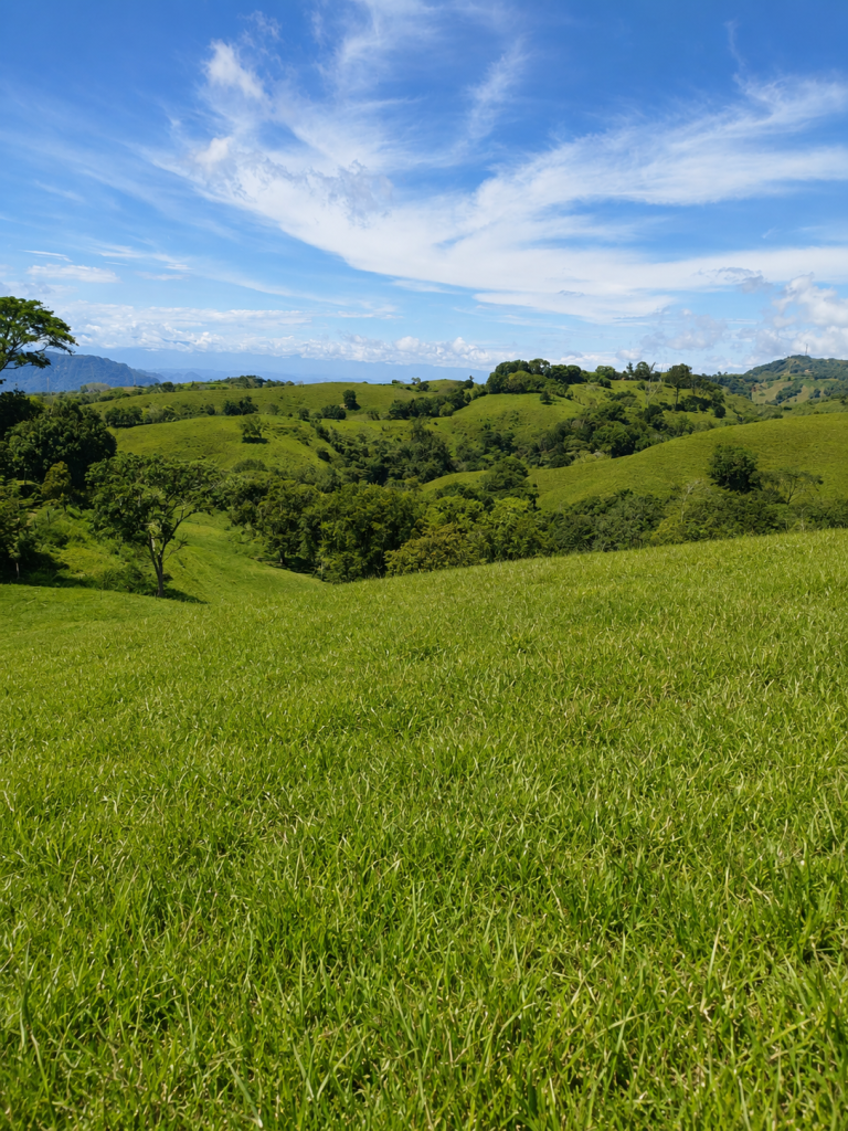 Venta Finca fresno imagen 5
