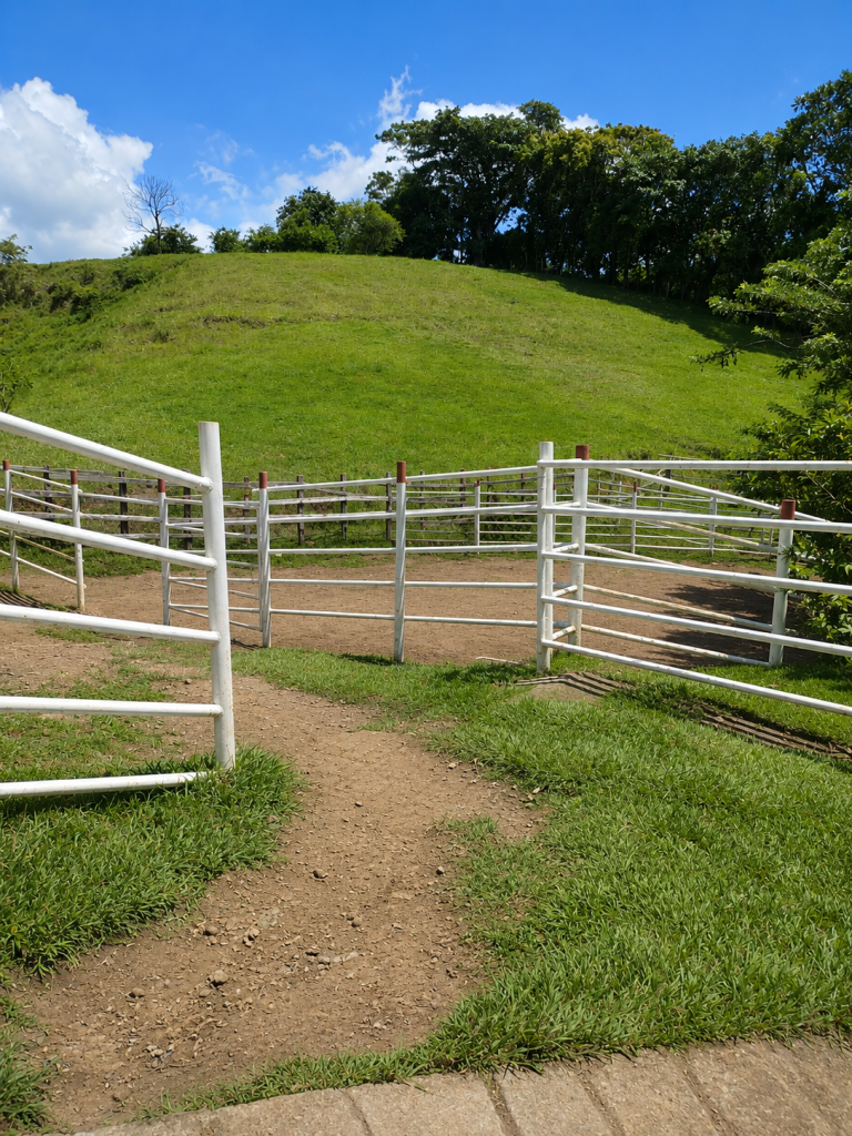 Venta Finca fresno imagen 6