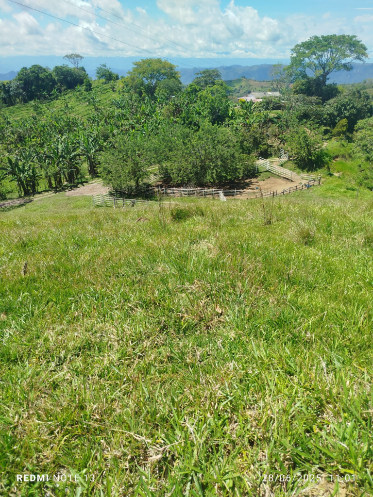 Venta Finca fresno imagen 7