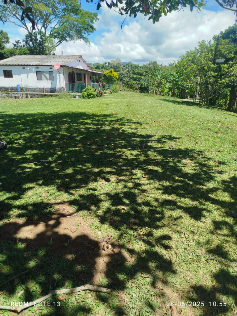 Venta Finca fresno imagen 8