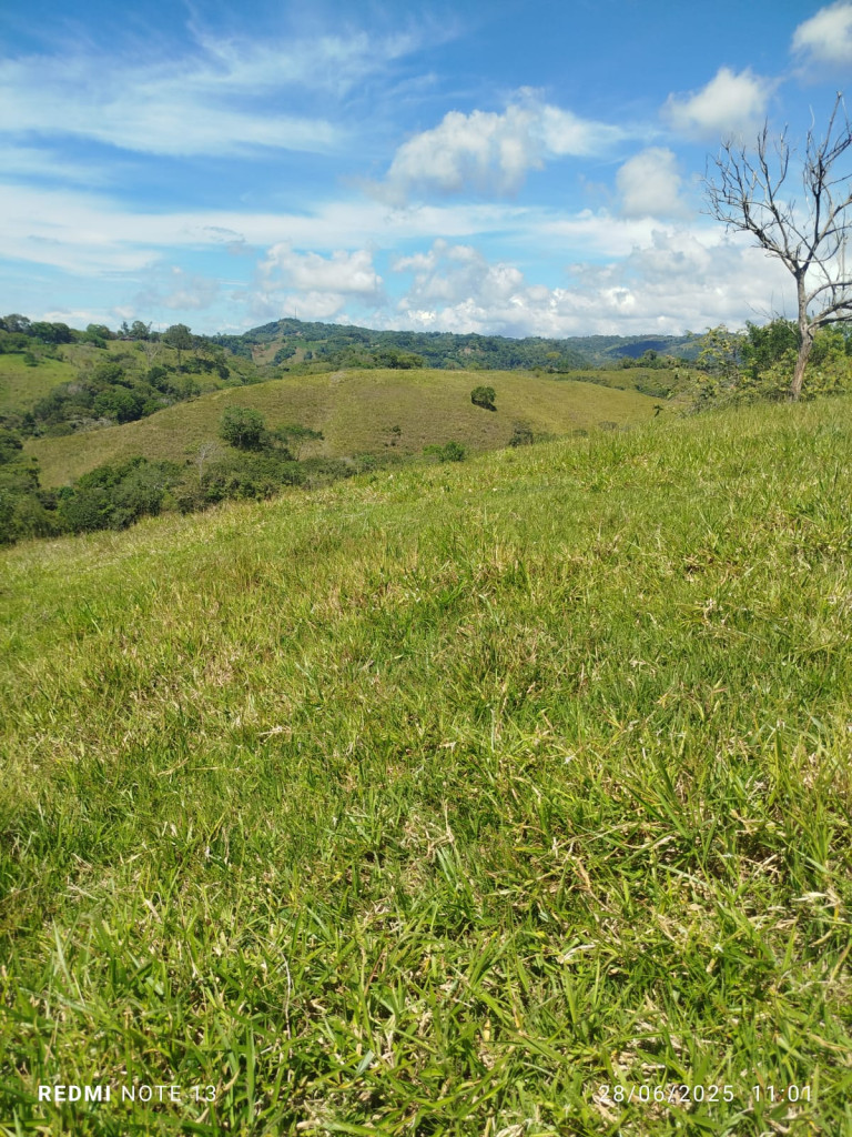 Venta Finca fresno imagen 9