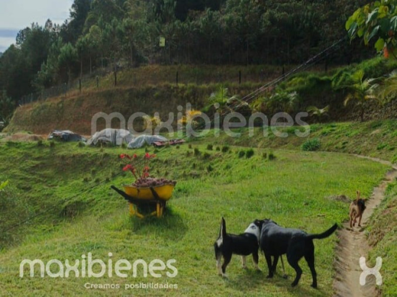 Fotos del inmueble