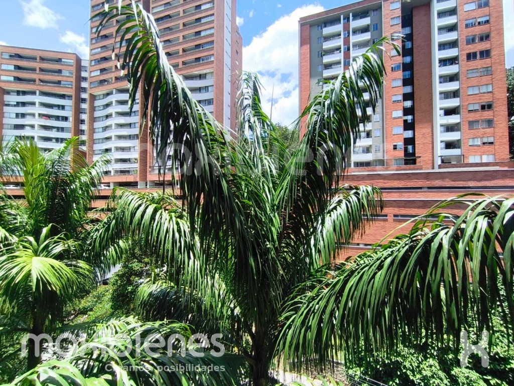 Fotos del inmueble
