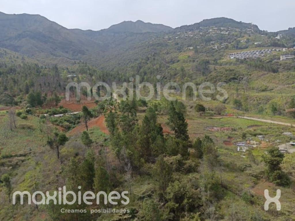 Fotos del inmueble