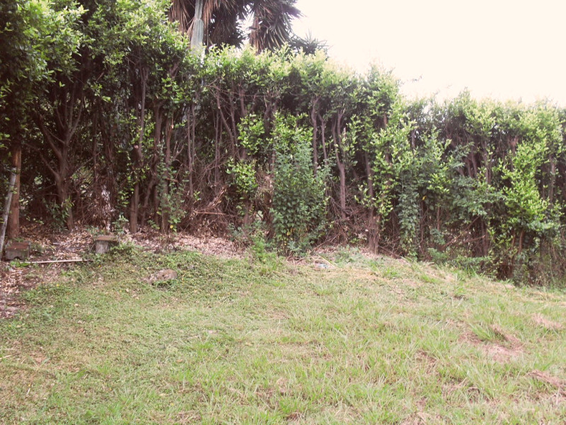 Lote En Venta - Dapa, Yumbo