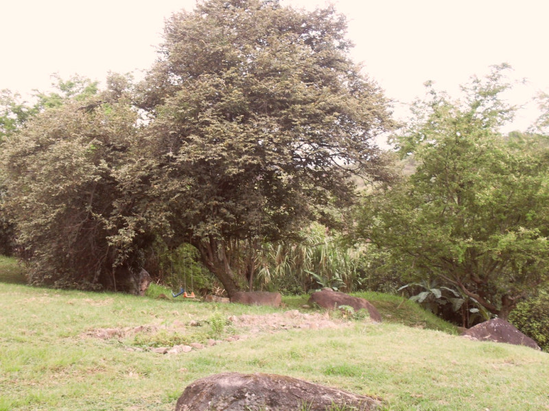 Lote En Venta - Dapa, Yumbo