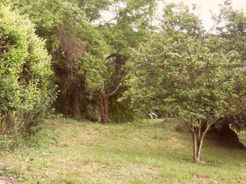 Lote En Venta - Dapa, Yumbo