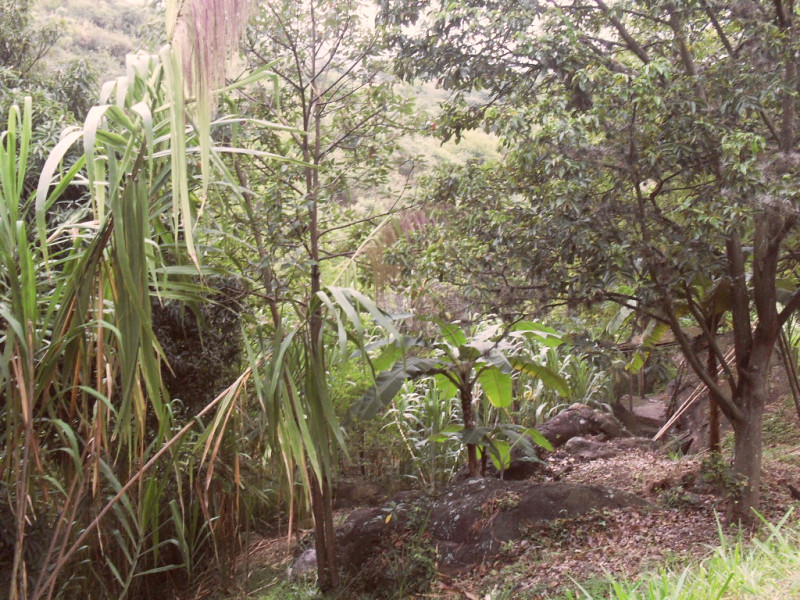 Lote En Venta - Dapa, Yumbo