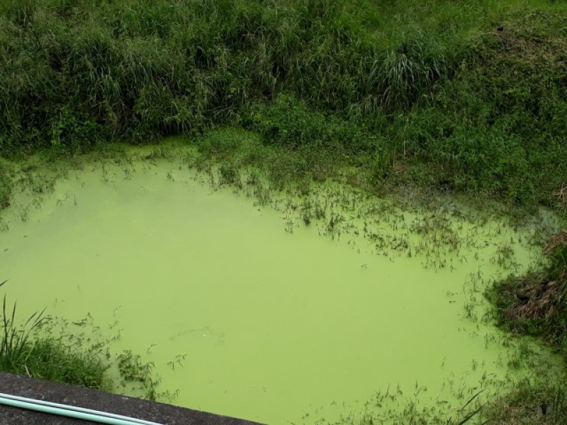 Lote En Venta - Camino Real, Cali