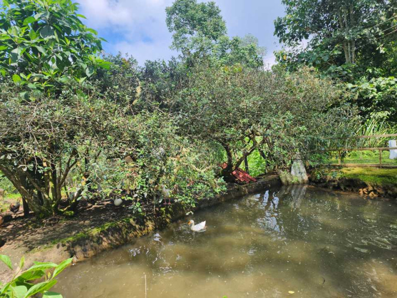 Casa Campestre En Venta - Dapa, Cali