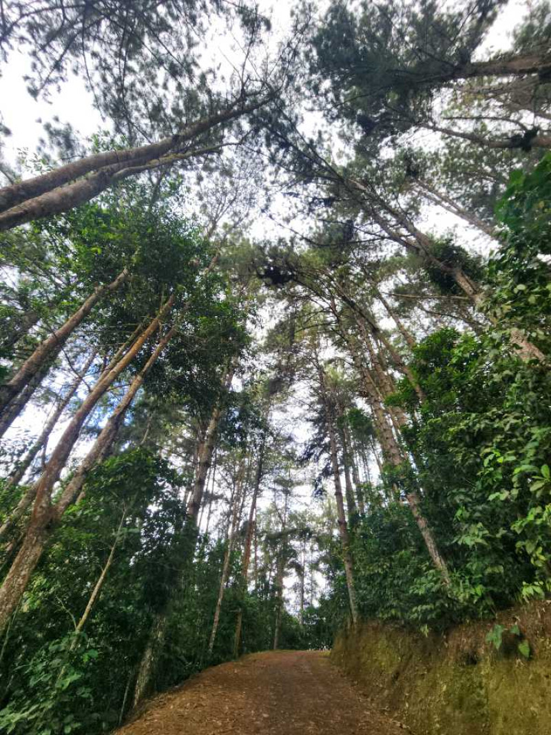 Casa Campestre En Venta - Dapa, Cali