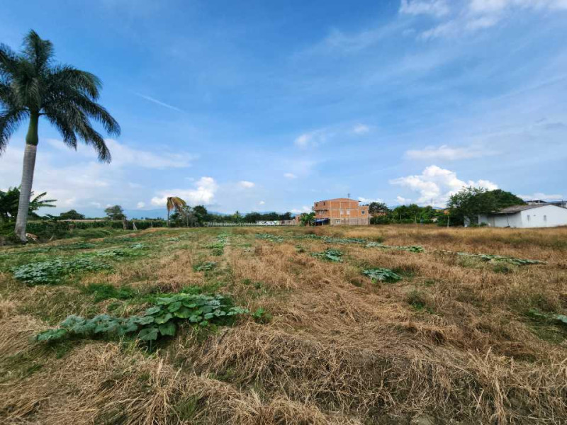 Lote En Venta - Rozo, Palmira