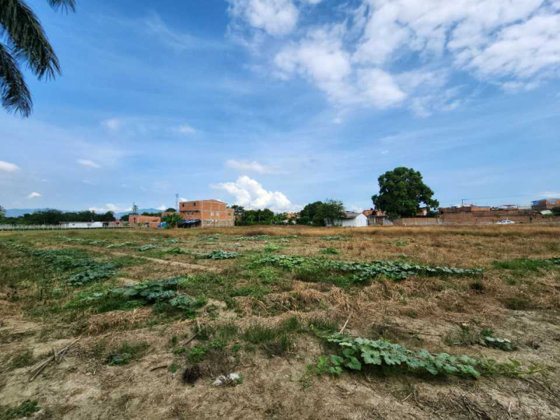 Lote En Venta - Rozo, Palmira