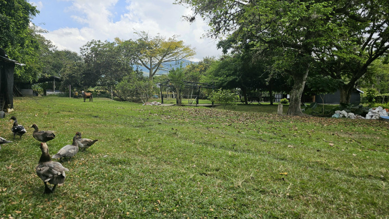 Finca En Arriendo - Ginebra, Ginebra