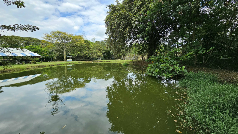 Finca En Arriendo - Ginebra, Ginebra