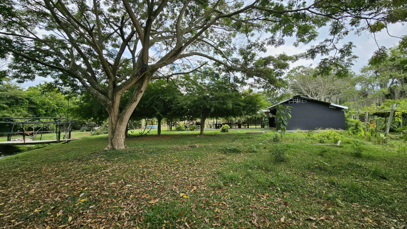 Finca En Arriendo - Ginebra, Ginebra