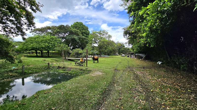 Finca En Arriendo - Ginebra, Ginebra