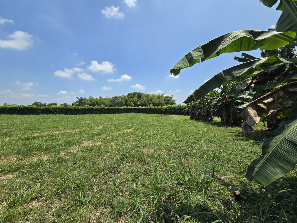 Lote En Venta - Rincon De Las Mercedes, Jamundí