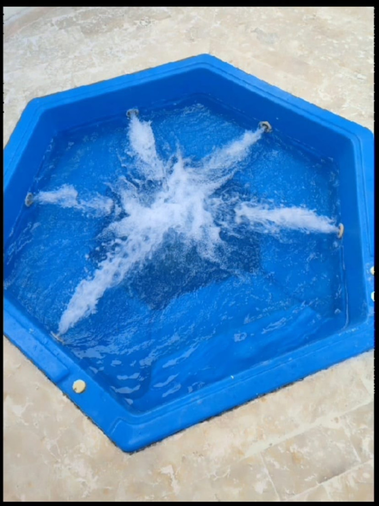 Casa En Arriendo - Miraflores, Cali