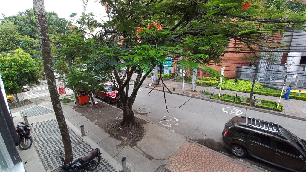 Local En Arriendo - San Fernando, Cali