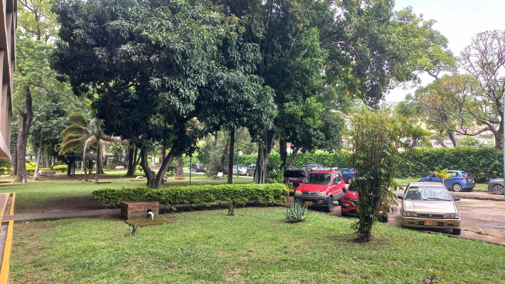 Apartamento En Arriendo - Urbanización La Flora, Cali