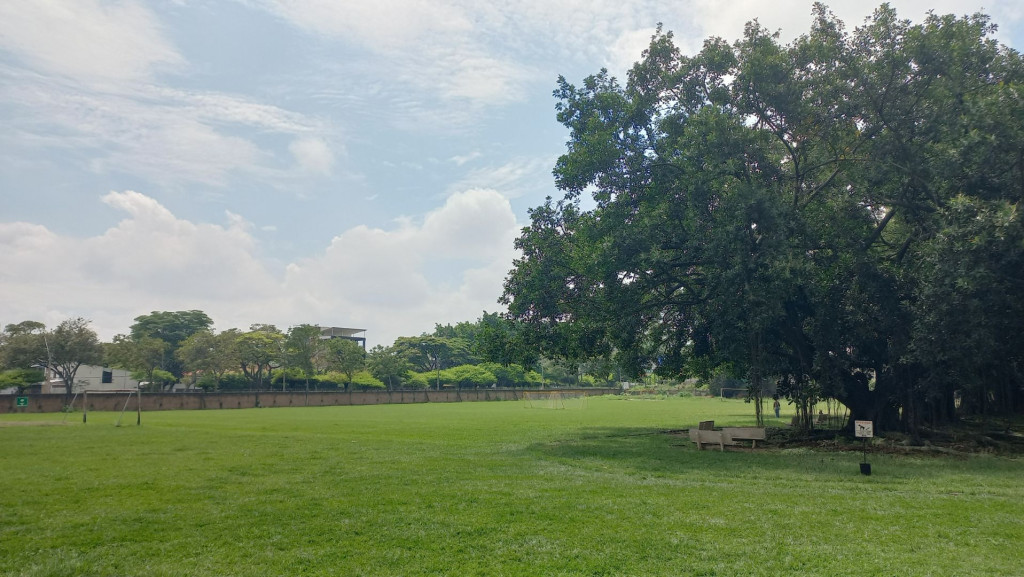 Apartamento En Arriendo - Urbanización La Flora, Cali