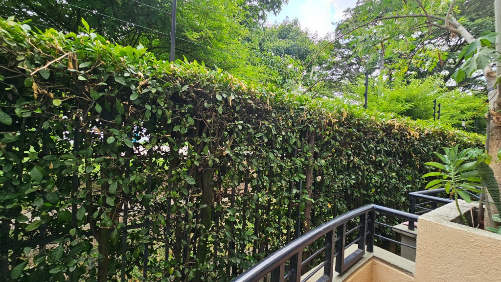 Apartamento En Arriendo - Cañaverales, Cali