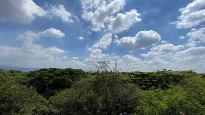 Apartamento En Venta - El Ingenio, Cali