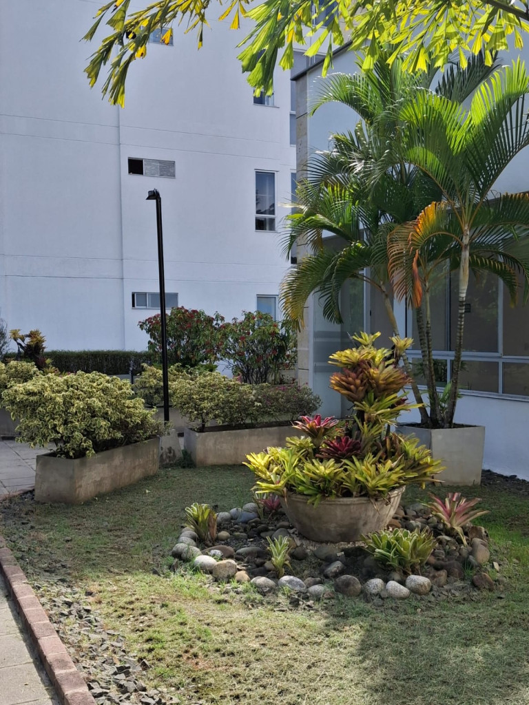 Apartamento En Arriendo - Pance, Cali