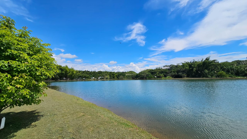 Apartamento En Arriendo - Alfaguara, Jamundí