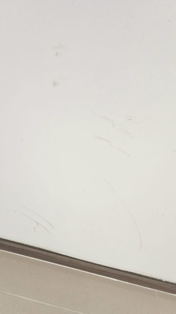 Apartamento En Arriendo - Valle Del Lili, Cali