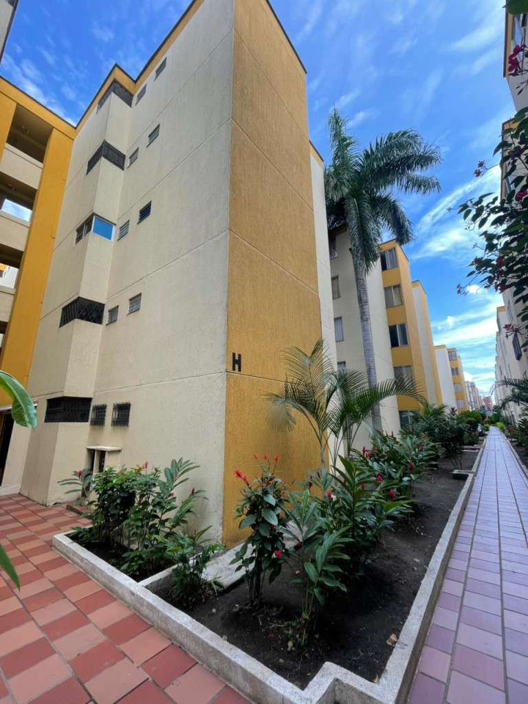 Apartamento En Arriendo - Brisas De Los Alamos, Cali