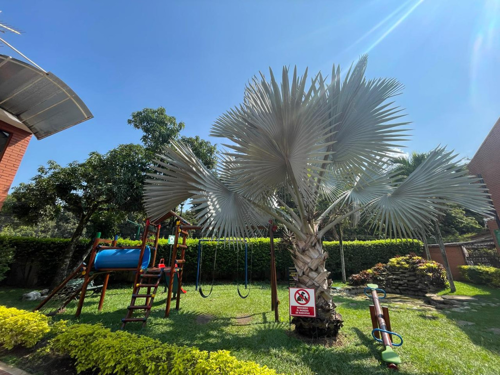 Casa En Arriendo - Ciudad Jardín, Cali