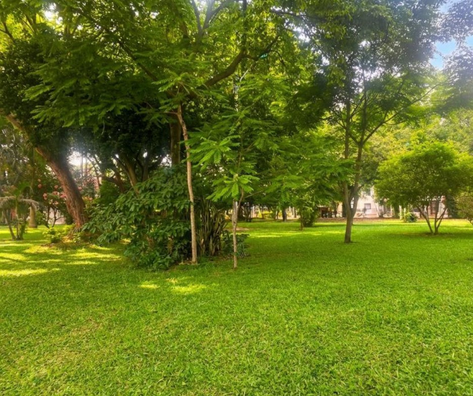 Casa En Arriendo - Ciudad 2000, Cali