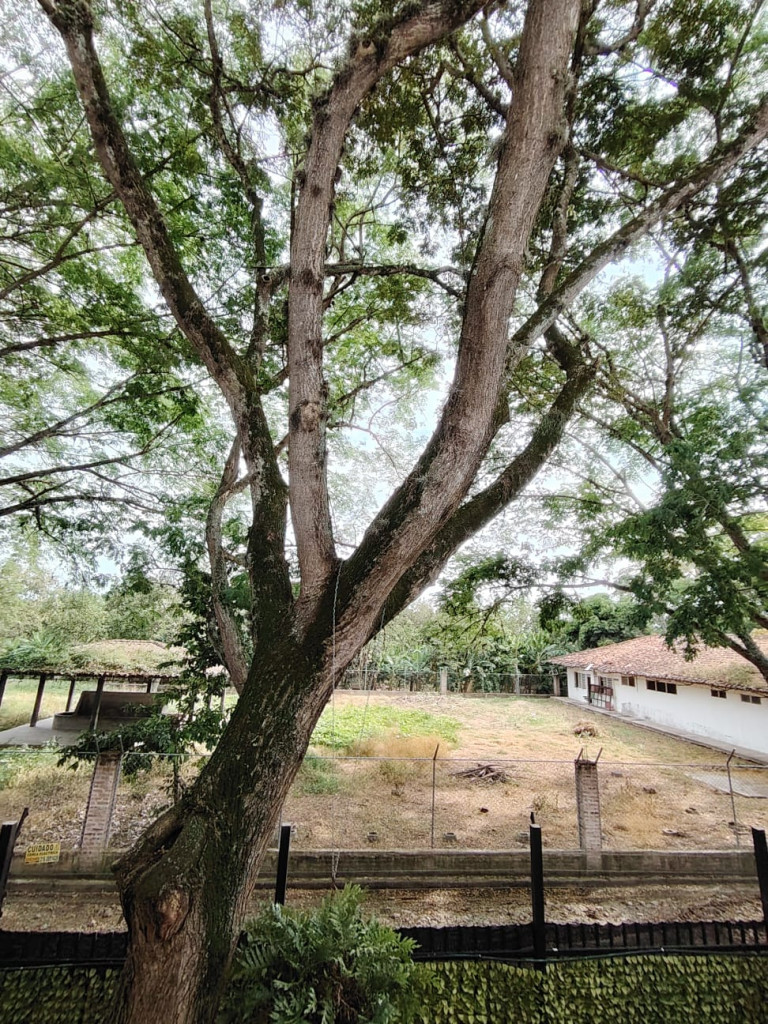 Casa En Arriendo - Corregimiento Rozo, Rozo