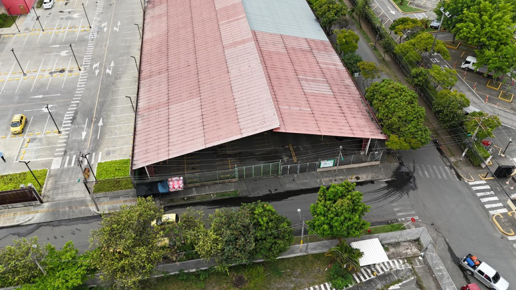 Lote En Arriendo - Flora Industrial, Cali